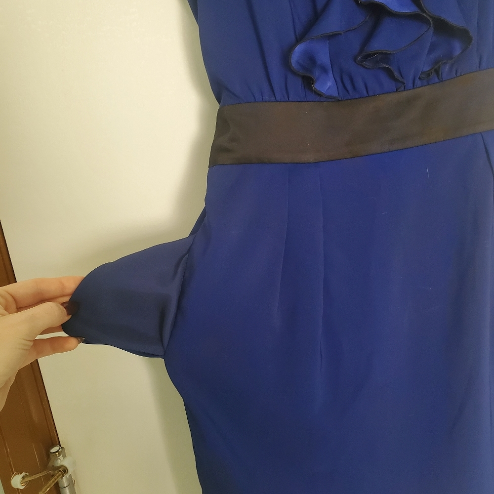 Express Dress - Picture 4 of 6